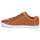 Schoenen Heren Lage sneakers Fred Perry BASELINE LEATHER Brown