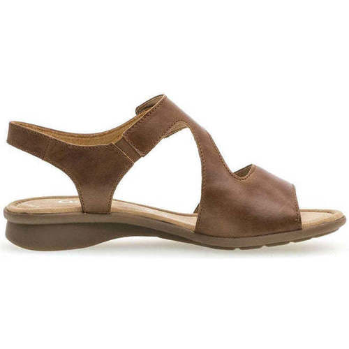 Schoenen Dames Sandalen / Open schoenen Gabor 46.063.54 Brown