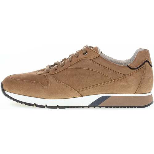 Schoenen Heren Sneakers Pius Gabor 1019.10.02 Brown