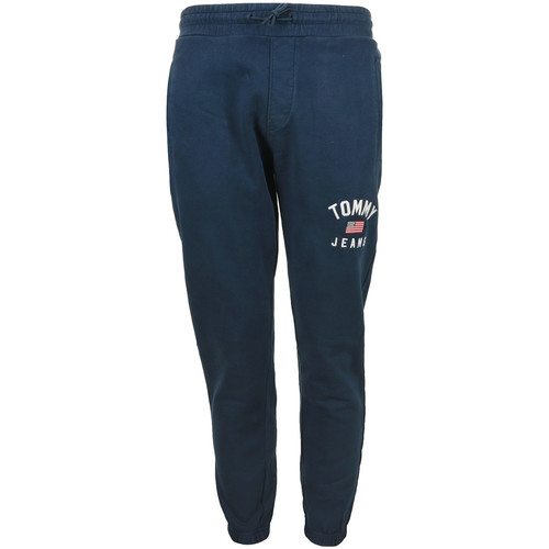 Textiel Heren Broeken / Pantalons Tommy Hilfiger Washed Logo Sweatpant Blauw