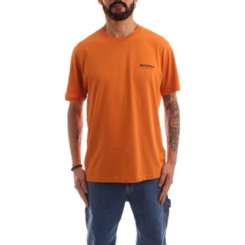 Textiel Heren T-shirts korte mouwen Dickies DK0A4XNYC381 Orange