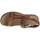 Schoenen Heren Sandalen / Open schoenen Caterpillar Atchison Brown
