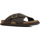 Schoenen Heren Sandalen / Open schoenen Timberland Amalfi Vibes Cross Slide Brown