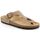 Schoenen Dames Slippers Grunland DSG-CC0001 Rood