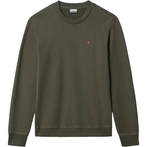Textiel Heren Sweaters / Sweatshirts Napapijri 183703 Groen