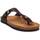Schoenen Heren Sandalen / Open schoenen Purapiel 73196 Brown