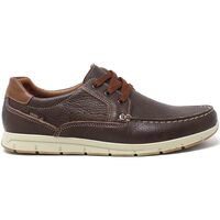 Schoenen Heren Sneakers Enval 1706111 Brown