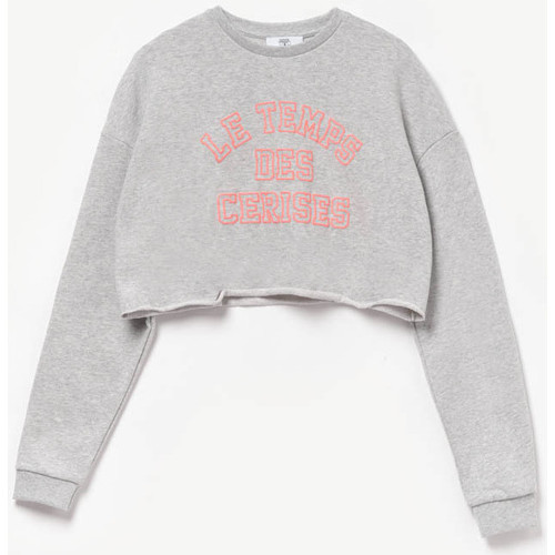 Textiel Meisjes Sweaters / Sweatshirts Le Temps des Cerises Sweater NEONGI Grijs