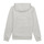 Textiel Jongens Sweaters / Sweatshirts Levi's BATWING PRINT HOODIE Wit
