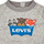 Textiel Jongens Sweaters / Sweatshirts Levi's CREWNECK CAMP FRIENDS Grijs