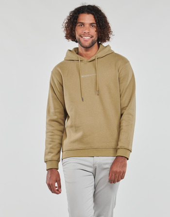 Textiel Heren Sweaters / Sweatshirts Tom Tailor HOODIE  camel