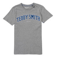 Textiel Jongens T-shirts korte mouwen Teddy Smith T-FELT Grijs