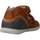Schoenen Jongens Sandalen / Open schoenen Biomecanics 222141B Brown