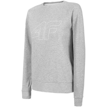 Textiel Dames Sweaters / Sweatshirts 4F BLD350 Grijs