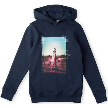 Textiel Jongens Sweaters / Sweatshirts O'neill Sweatshirt à capuche enfant  Surfboard Blauw