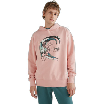 Textiel Heren Sweaters / Sweatshirts O'neill Sweatshirt à capuche  O'riginal Roze