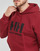 Textiel Heren Sweaters / Sweatshirts Helly Hansen W HH LOGO HOODIE Rood