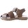 Schoenen Sandalen / Open schoenen Coquette 26308-24 Brown