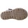 Schoenen Sandalen / Open schoenen Coquette 26308-24 Brown