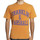 Textiel Heren T-shirts korte mouwen Franklin & Marshall T-shirt à manches courtes Orange