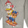 Textiel Jongens Sweaters / Sweatshirts Name it NMMJOSHU PAW PATROL SWEAT Grijs
