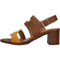 Schoenen Dames Sandalen / Open schoenen IgI&CO 1690322 Brown
