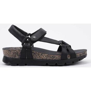 Schoenen Dames Sandalen / Open schoenen Panama Jack Sally Basics Zwart
