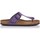 Schoenen Dames Sandalen / Open schoenen Interbios SANDALES  7110 Violet