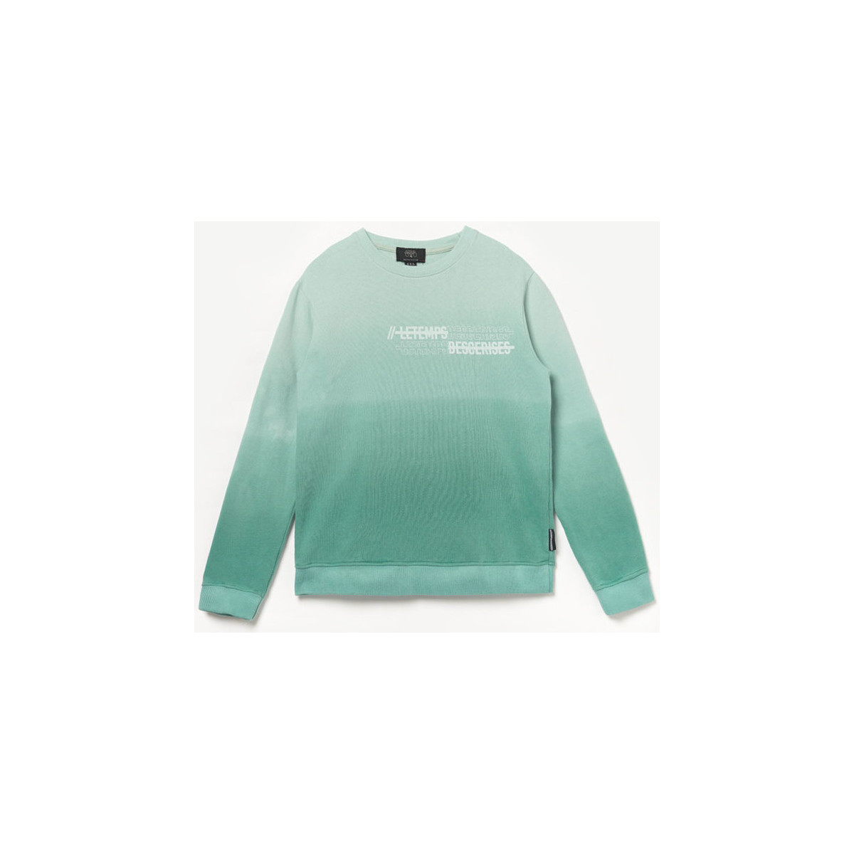Textiel Jongens Sweaters / Sweatshirts Le Temps des Cerises Sweater VENICEBO Groen