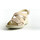 Schoenen Dames Sandalen / Open schoenen Imac 156870 Beige