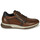Schoenen Heren Lage sneakers Fluchos 1600-HABANA-CAMEL Brown