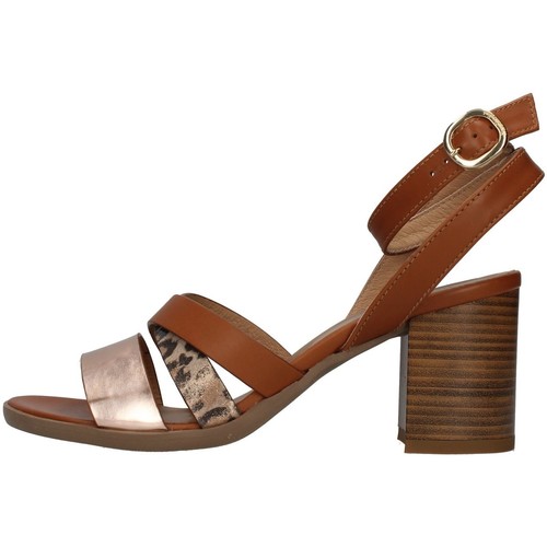 Schoenen Dames Sandalen / Open schoenen NeroGiardini E218651D Brown