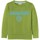 Textiel Jongens Sweaters / Sweatshirts Napapijri  Groen