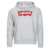 Textiel Heren Sweaters / Sweatshirts Levi's STANDARD GRAPHIC HOODIE Heather / Grey