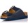 Schoenen Dames Sandalen / Open schoenen Scholl BASKETS  F29864 Blauw