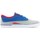 Schoenen Kinderen Skateschoenen DC Shoes Sultan TX Gris, Bleu