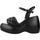 Schoenen Dames Sandalen / Open schoenen Elvio Zanon EQ5905X Zwart