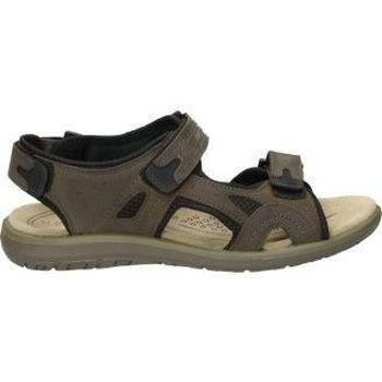 Schoenen Heren Sandalen / Open schoenen Palmipao-Aclys Be Fly Flow S120-05-03 Brown