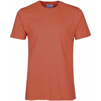 Textiel T-shirts & Polo’s Colorful Standard T-shirt  Classic Organic dark amber Rood