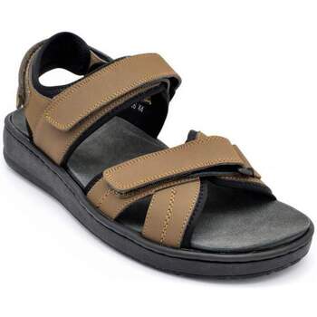 Schoenen Heren Sandalen / Open schoenen G Comfort 966 Brown