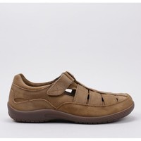 Schoenen Heren Sandalen / Open schoenen Panama Jack  Brown