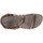 Schoenen Dames Sandalen / Open schoenen Merrell Terran 3 Cush Lattice Brown