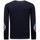 Textiel Heren Sweaters / Sweatshirts Tony Backer Print Tiger Couture Blauw