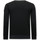 Textiel Heren Sweaters / Sweatshirts Tony Backer Print Gouden Leeuw Zwart