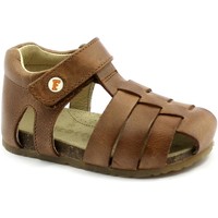 Schoenen Kinderen Sandalen / Open schoenen Naturino FAL-CCC-0736-CU Brown