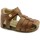 Schoenen Kinderen Sandalen / Open schoenen Naturino FAL-CCC-0736-CU Brown