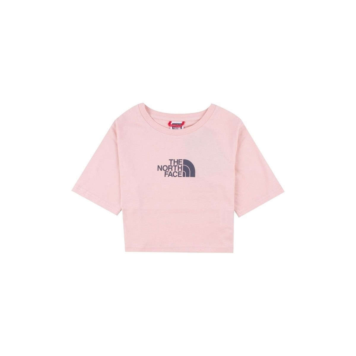 Textiel Dames T-shirts & Polo’s The North Face GHYÈ_ BNHGG SS CROPPED GRAPHIC TEE Roze
