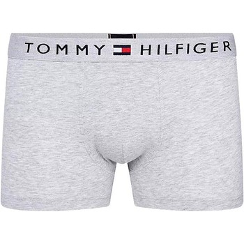 Textiel Heren Pyjama's / nachthemden Tommy Jeans CALZONCILLOS GRISES TRUNK TOMMY HILFIGER 01646 Grijs