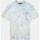 Textiel Heren T-shirts & Polo’s Dickies Seatac tee ss Groen
