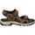 Schoenen Heren Sandalen / Open schoenen Paredes VP22174 Brown